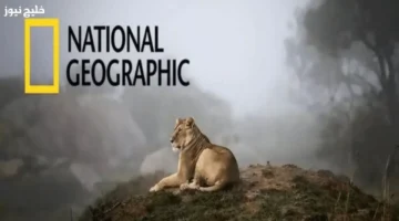 تردد قناة ناشيونال جيوغرافيك 2025 بنقاء وجودة عالية على جهازك